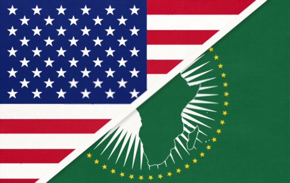 Read more about the article US adjusts trading strategy with Africa, leverages the power of Africans in Diaspora
